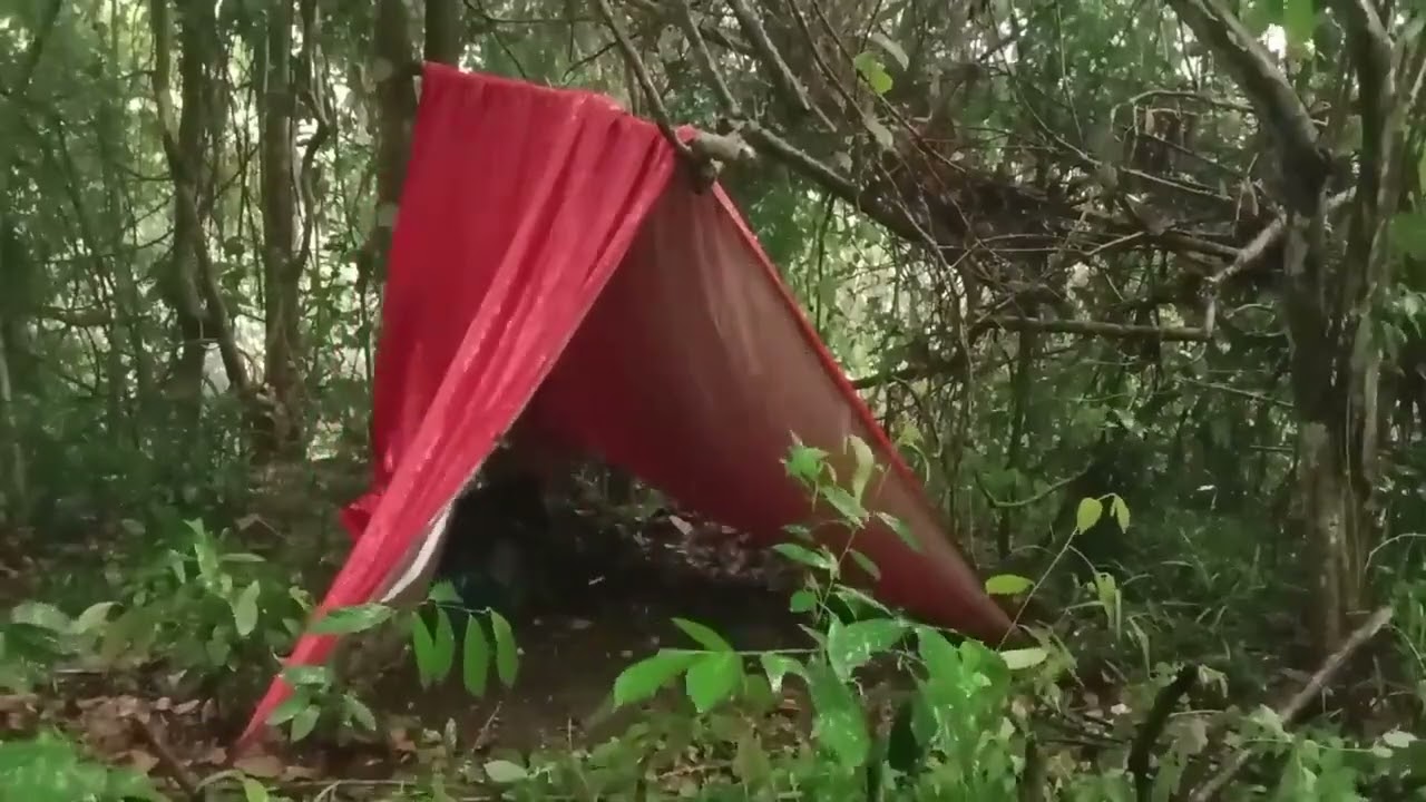 Berkemah membangun shelter sederhana tempat berlindung dari hujan di hutan belantara tidur nyenyak 