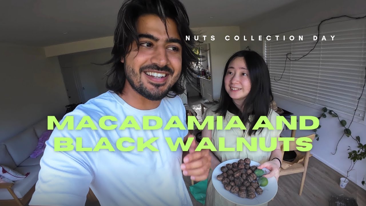 Indian China Couple Vlog | Macadamia | Black Walnuts | Couple Vlog | Travel Vlog | New Zealand Vlogs