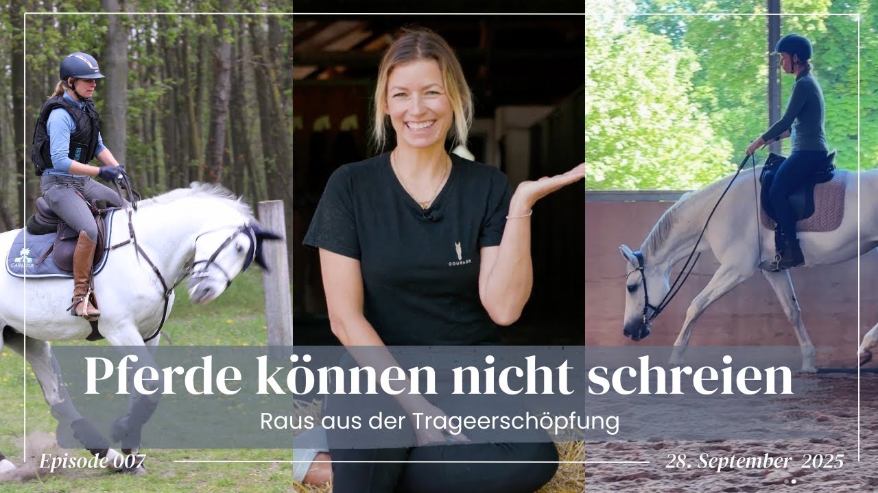 Die Wahrheit über Trageerschöpfung – das sagt dir (fast) niemand! So habe ich meinem Pferd geholfen