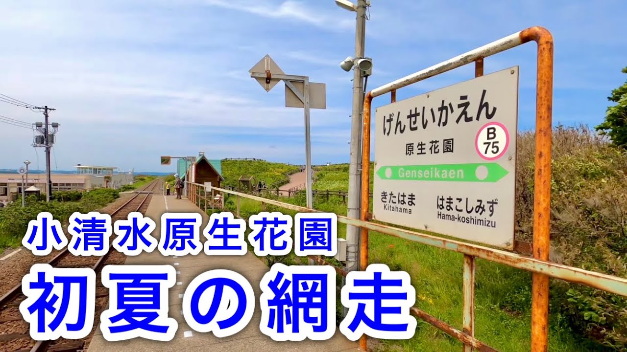 【北海道旅】小清水原生花園と網走の街を散策しました。（小清水町／網走市）　Koshimizu Primeval Flower Garden and Abashiri City