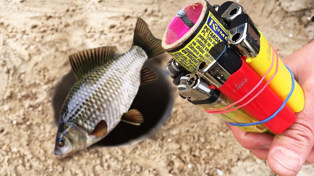 XXL FIRECRACKER HOLE VS FISH