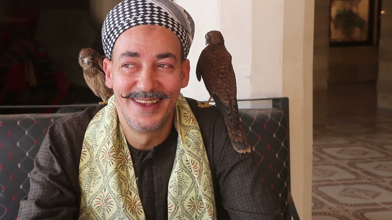 ترويض الصقور 🦅والقرود 🐒مع الحاج طلبة بطريقة بسيطة وممتعة