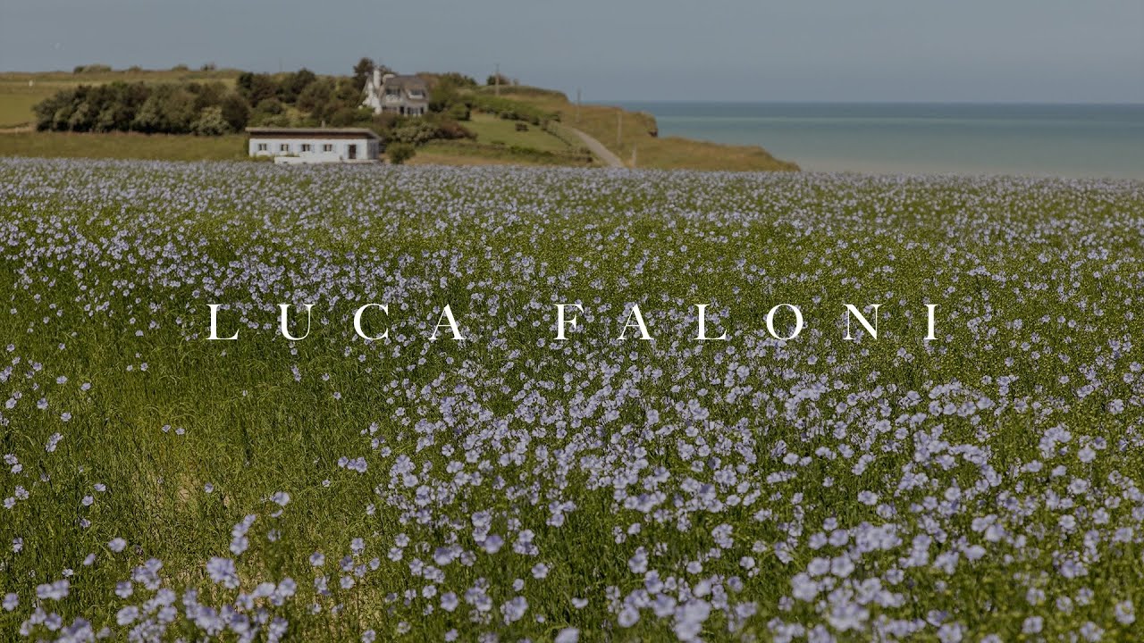 Linen Masters: From Flax Field to Cloth | Luca Faloni