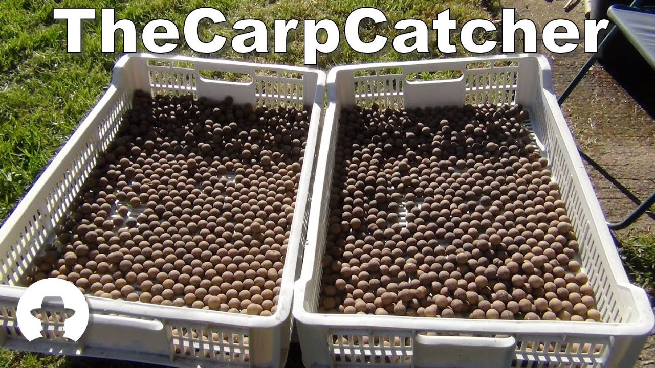 Bait Making - The Basics Carp fishing
