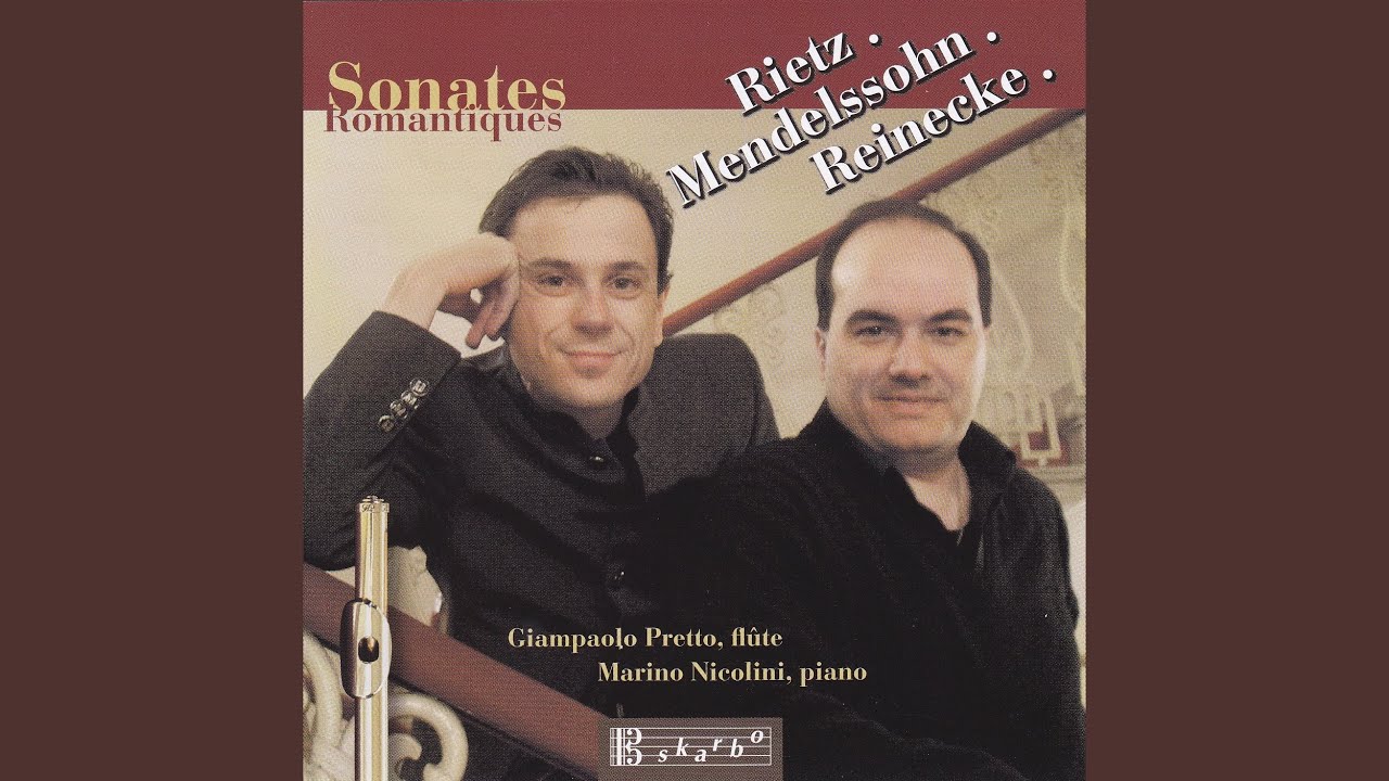 Flute Sonata in G Minor, Op. 42: I. Allegro moderato