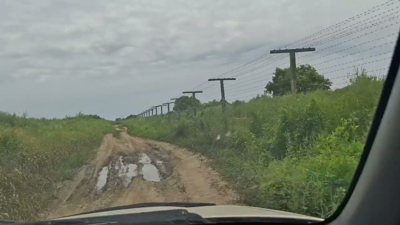 12 марта 2026 г.