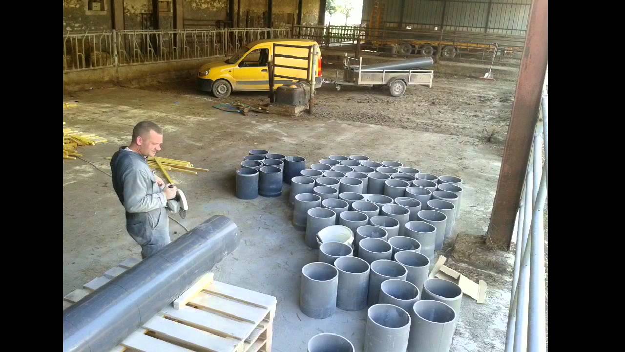 Production oignons semence