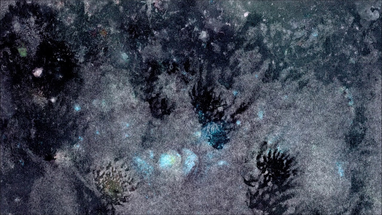 Aiste Orinaite & Robert Herrmann - Vidury laukų grušelė auga