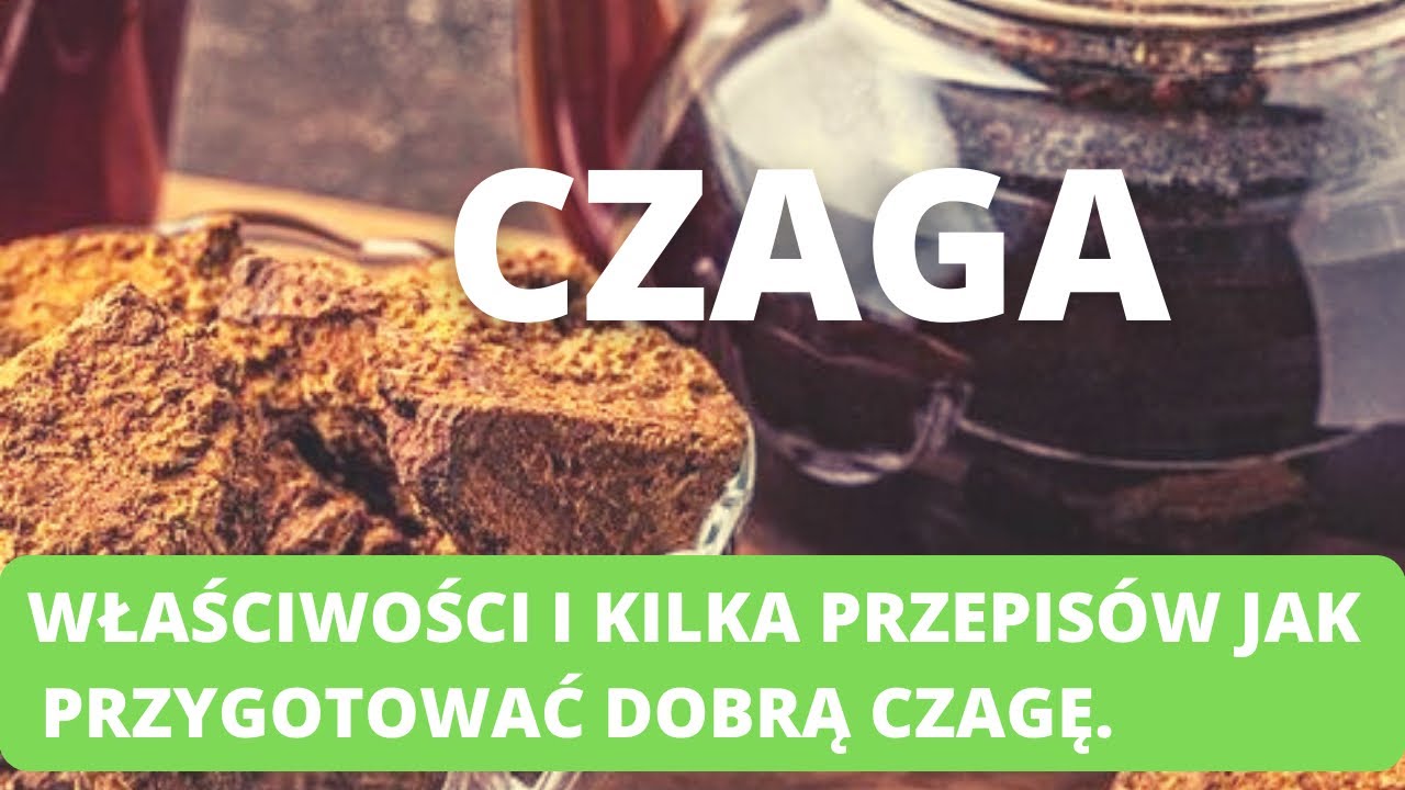 CZAGA. Właściwości i kilka przepis&oacute;w jak przygotować dobrą czagę. #czaga # błyskoporek #czarnahuba