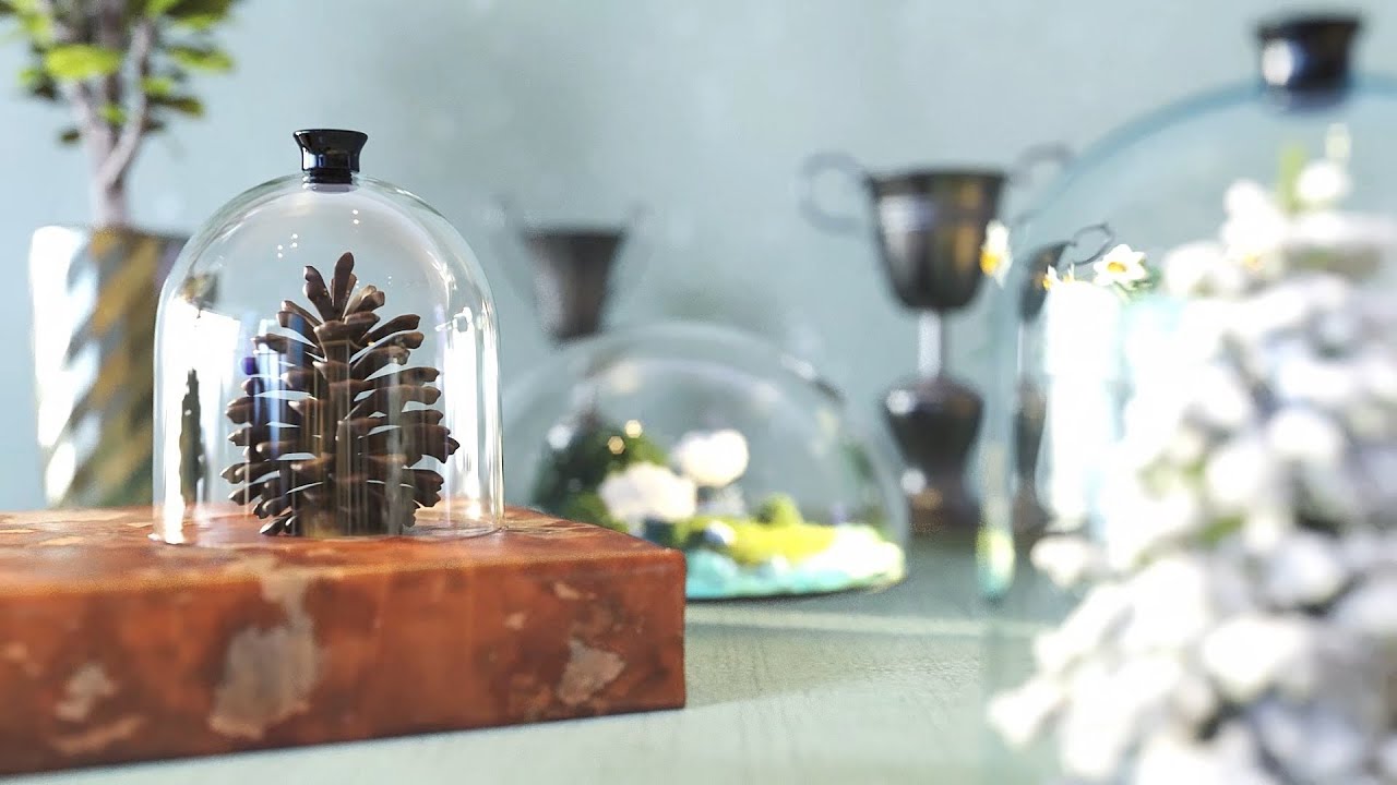 Miracle Adventure Photo Album