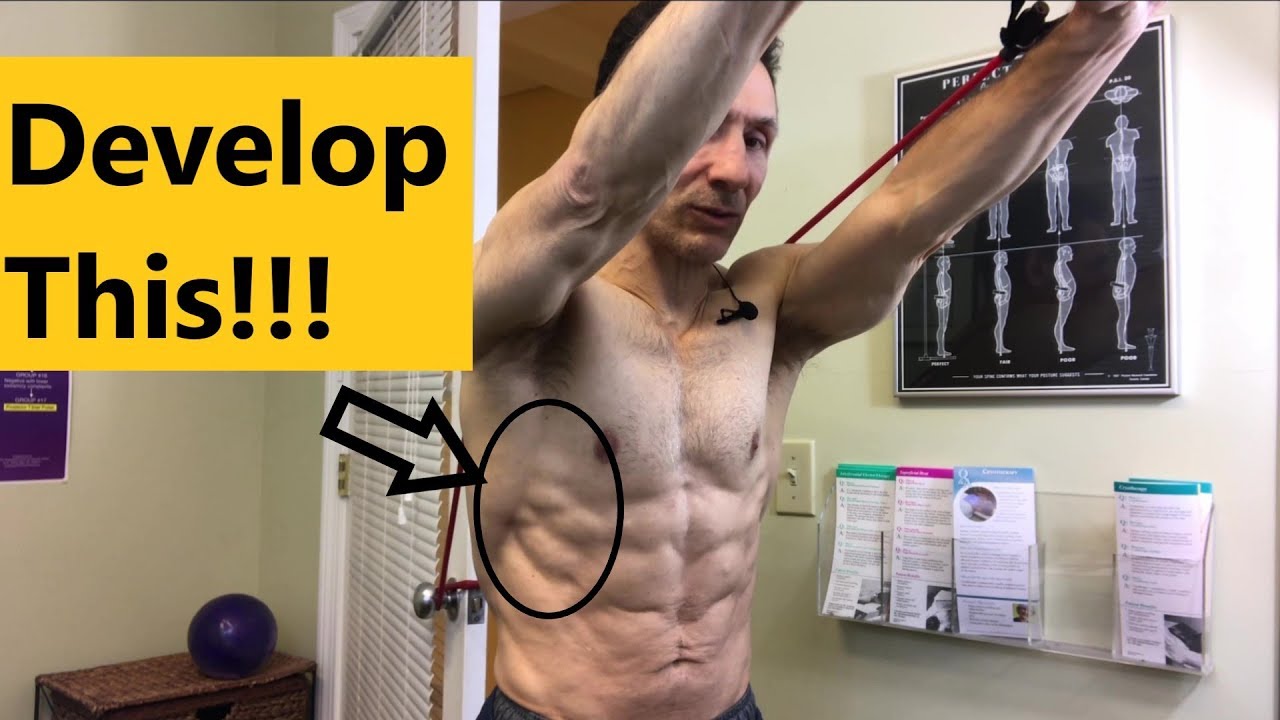 2 Serratus Anterior Exercises With Resistance Bands