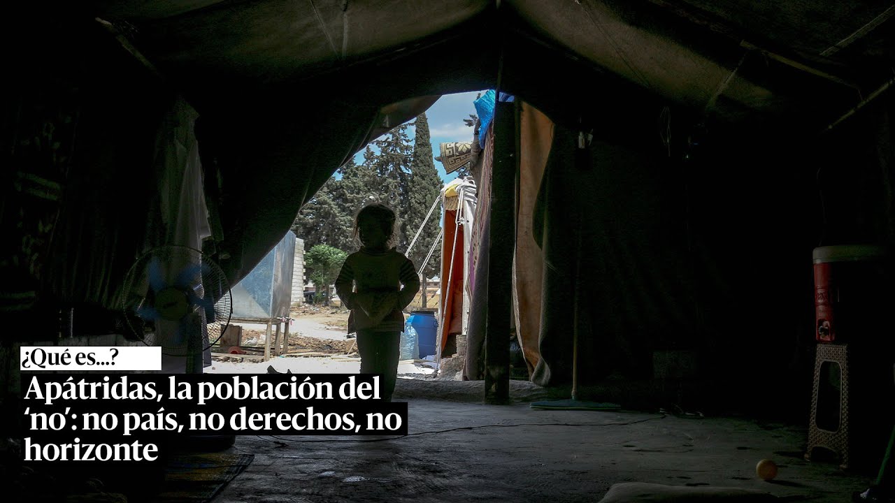 &iquest;Qu&eacute; son los ap&aacute;tridas?