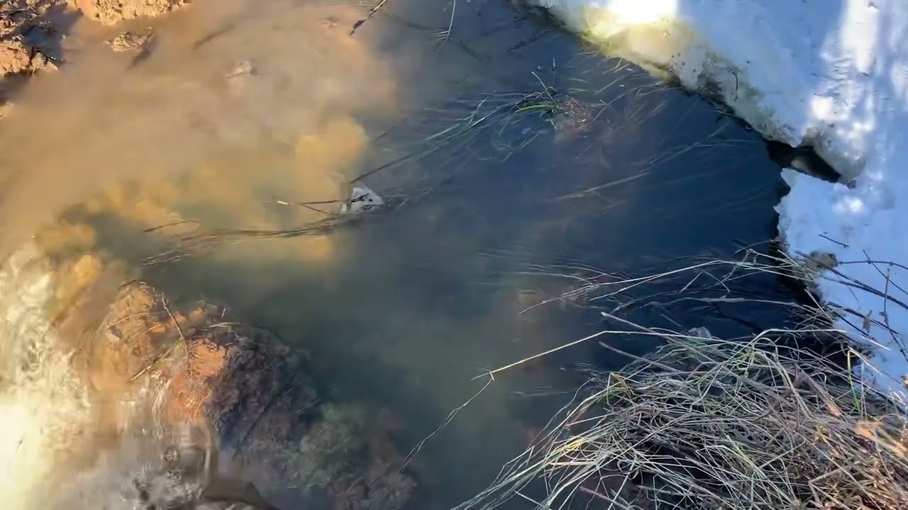 Экскаватор CAT 319D раскапывает траншею и спускает озеро. excavator digs a trench and drains a lake
