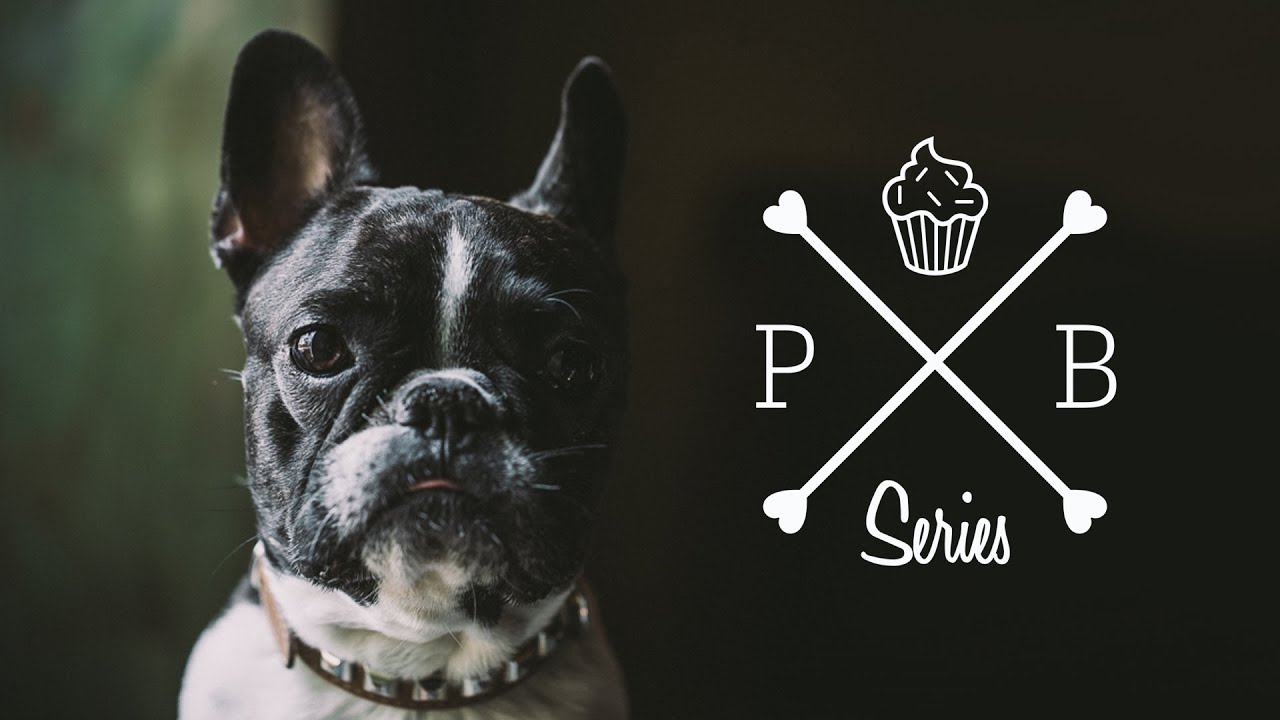 HomeMade Dog Food - Chicken Liver Pâté Cakes & French Bulldog || PetBox-Bakery for Pets || GastroLab