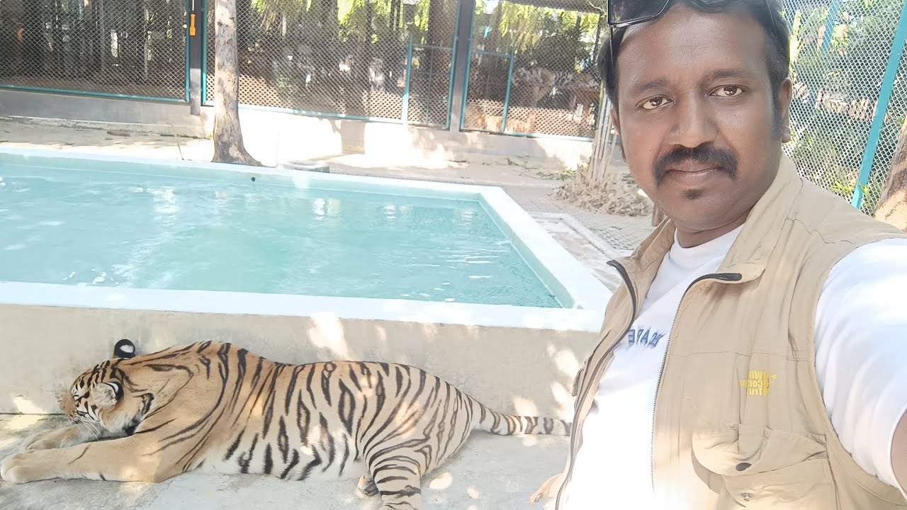 Tiger Park