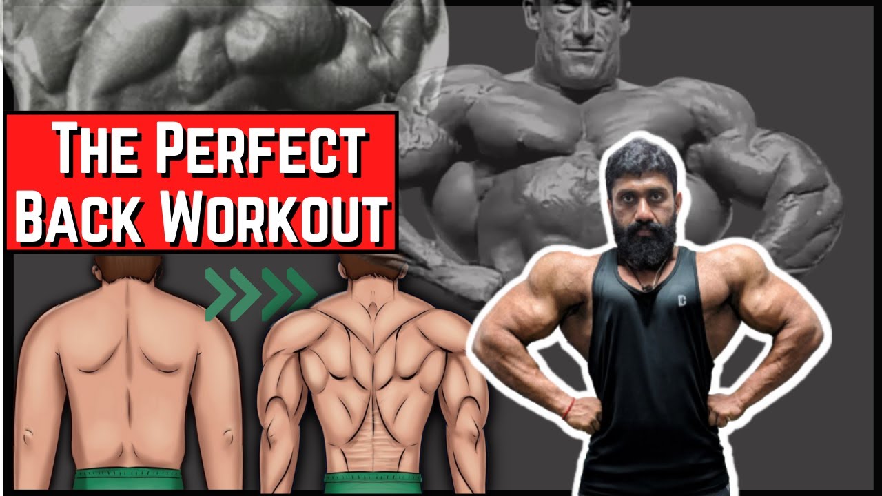 The perfect back workout | Full Workout with sets and reps | Biglee Tamil