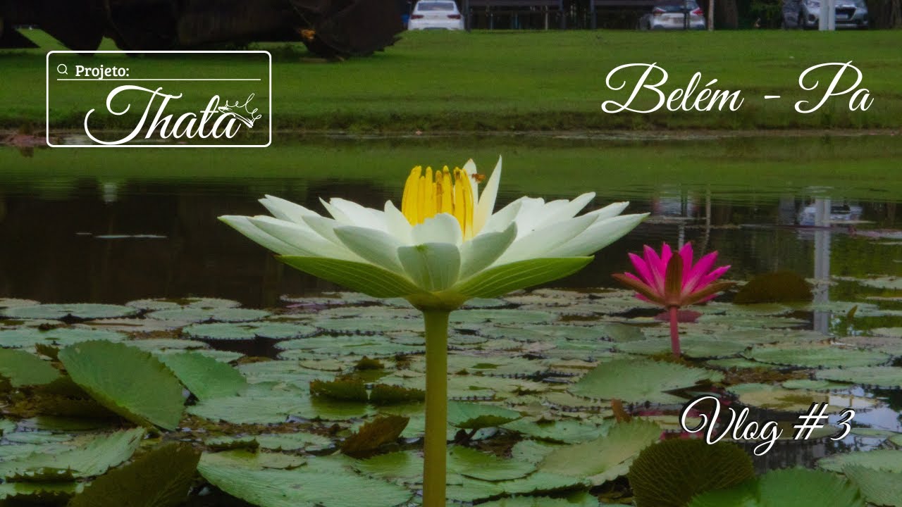 Últimos dias em Belém | Vlog #3 | Belém - PA