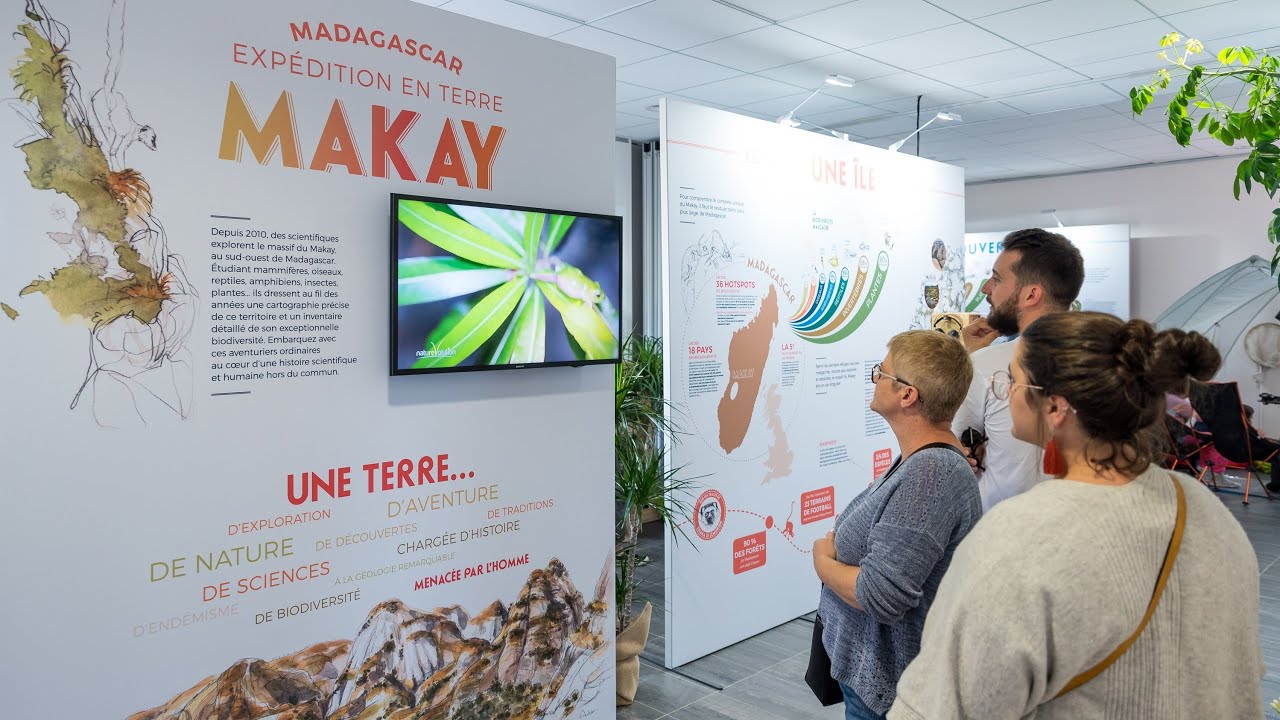 Exposition Makay - Visite guidée