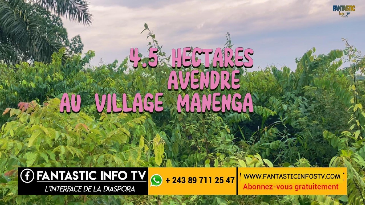 4,5 Hectares agricole avendre avec une source d'eau : MANENGA (MONT NGAFULA ROCADE) 9000 USD SUKA