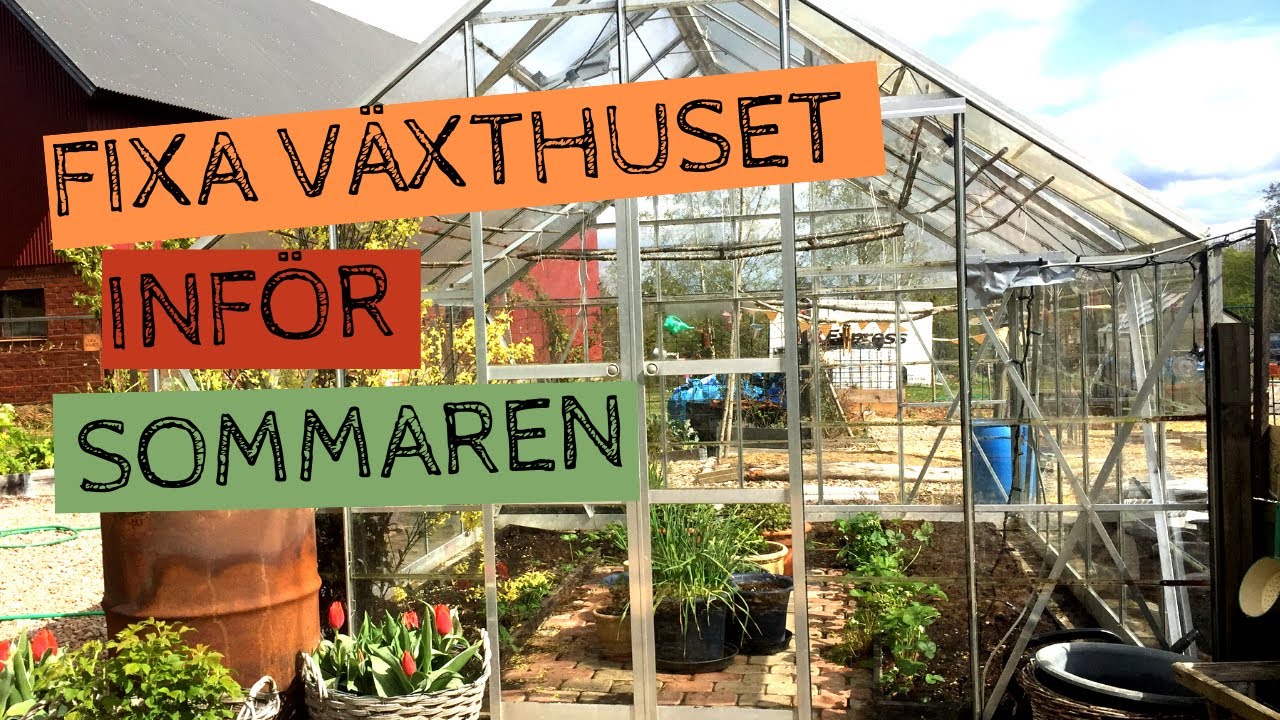 Förbered VÄXTHUSET inför sommaren - rensa, tvätta, gödsla. Såhär gör jag!