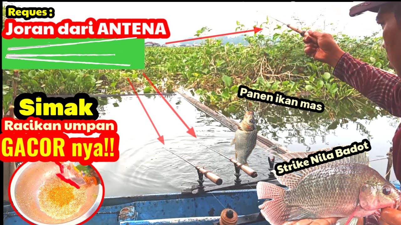 Silahkan dicoba racikannya! Umpan geleng ini 100% gacor tanpa essen || MANCING DENGAN JORAN ANTENA