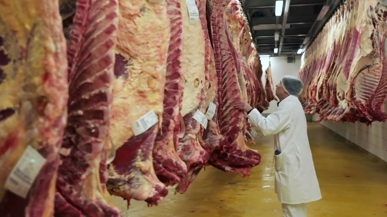 Danish Crown Professional - World Steak Challenge 2021