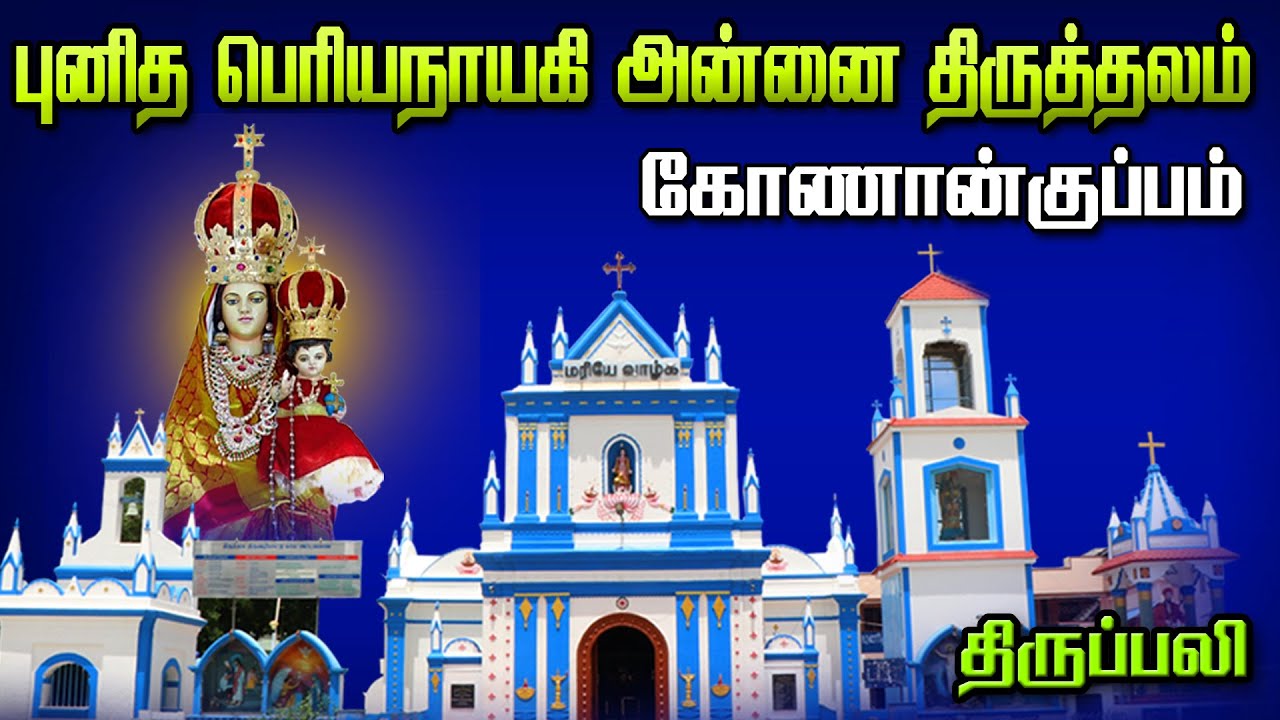 LIVE - 14-10-2023 | Konankuppam Our Lady Periyanayagi Shrine | Saturday  Tamil Mass | Mercy TV