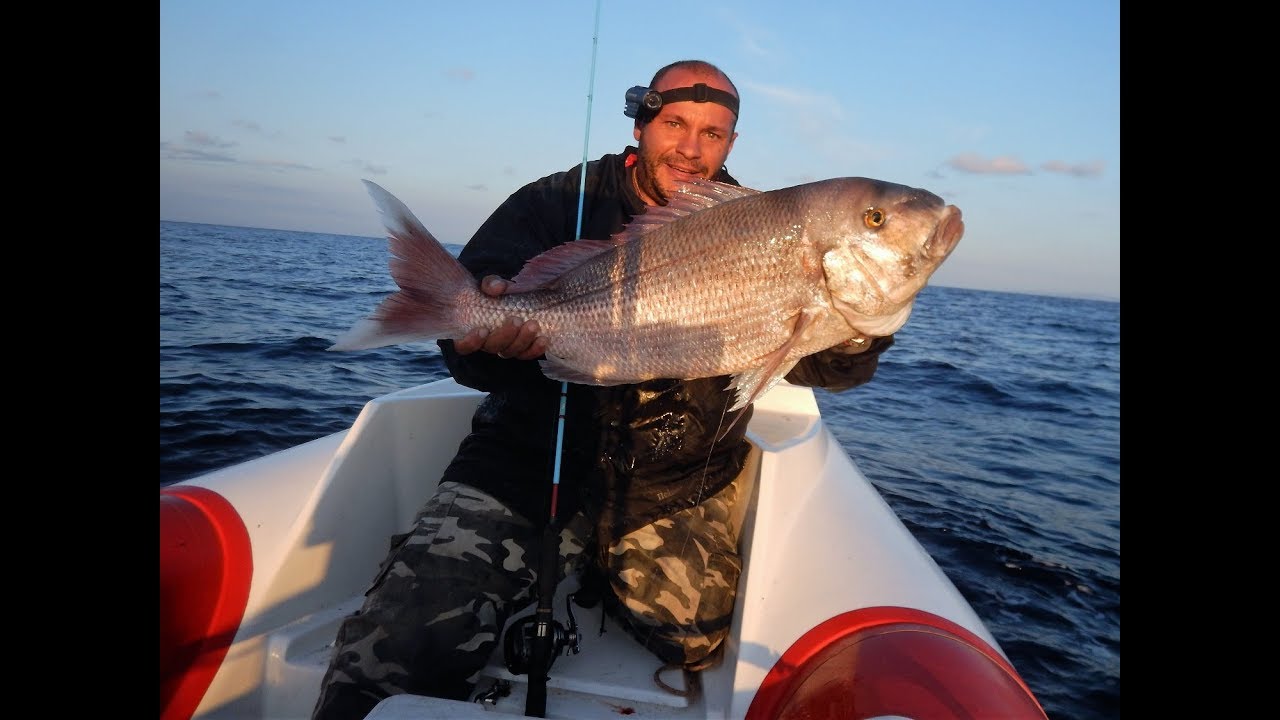 Monster Red Porgy with very light tai rubber gear! Μεγάλο Φαγκρί. Feat ZENAQ Nerf Winder V72