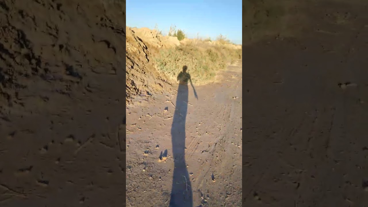 ١٩ شباط، ٢٠٢٦