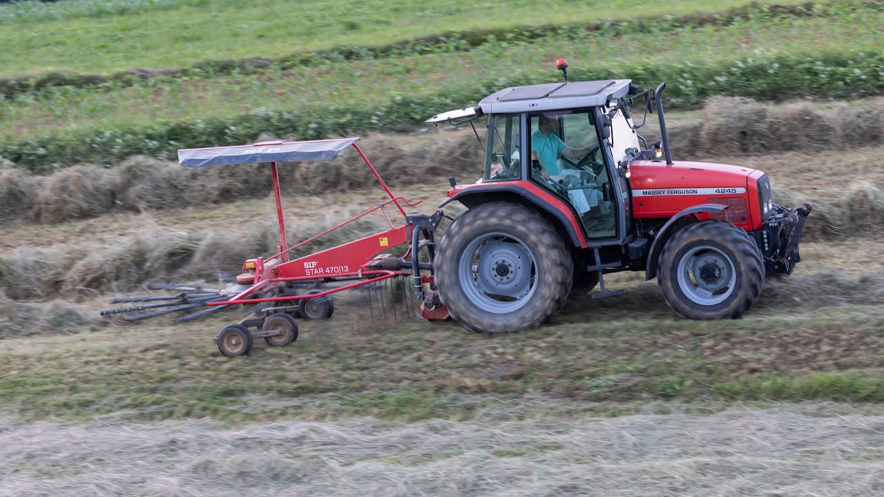 [4K] Raking with Massey Ferguson and single-rotor rake SIP STAR 470|13 in Slovenia - Europe