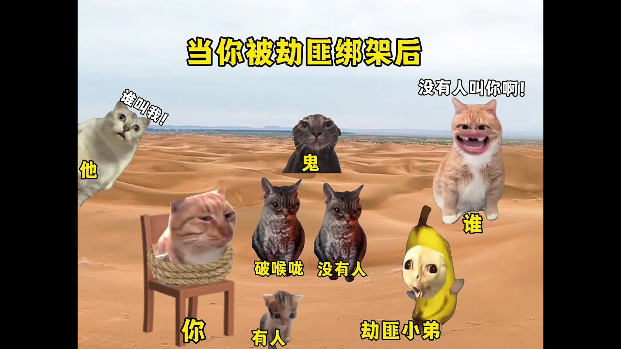 当你被劫匪绑架后 #猫meme  #猫meme小剧场 #猫meme剧场 #内容过于真实 #搞笑