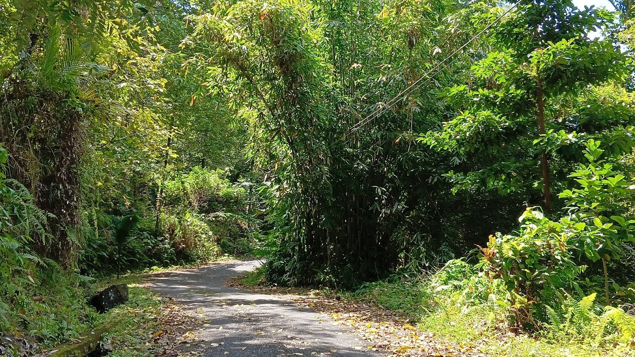 Jalan-Jalan dan Melihat Dusun Madese Kelurahan Lesa Kec. Tahuna Timur