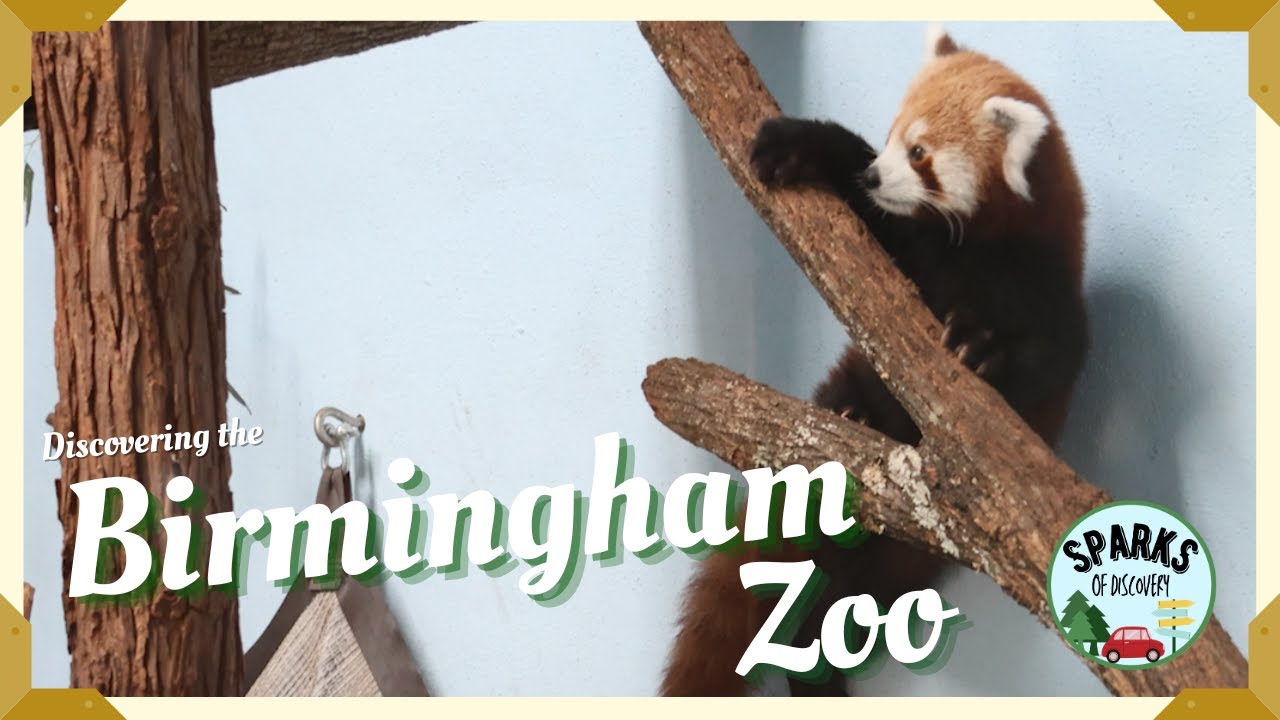 Discovering the Birmingham Zoo