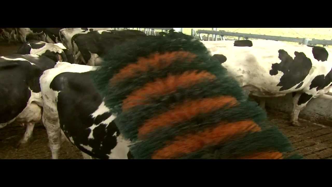 Brosses M-Brush de GEA Farm Technologies