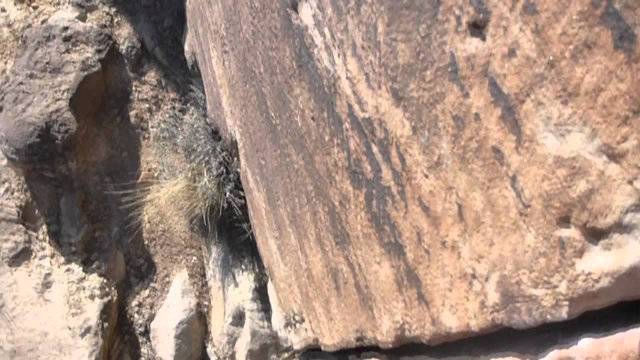 Rock Climbing with a Panasonic TS3 set up as a Helmet Cam