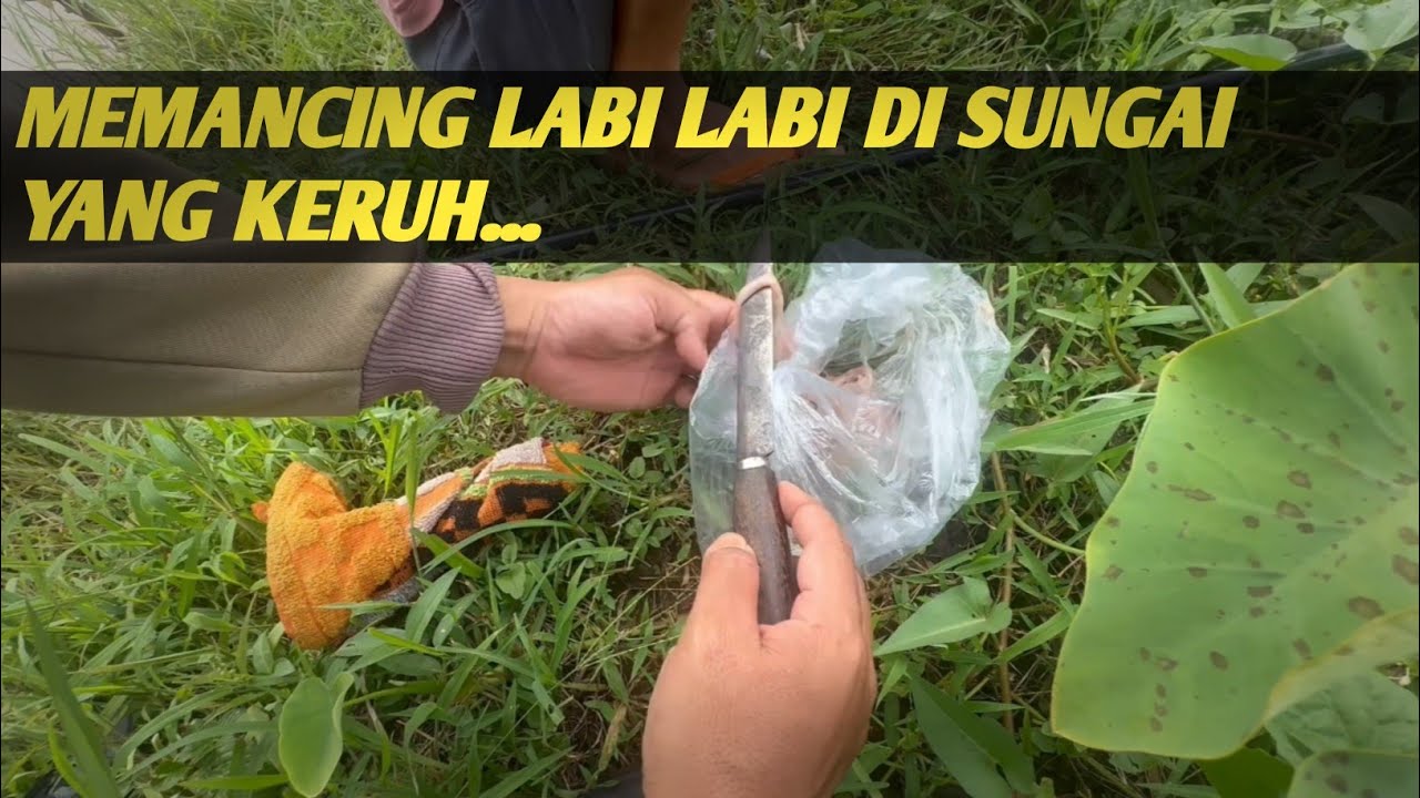 MEMANCING LABI-LABI ATU KURA KURA 