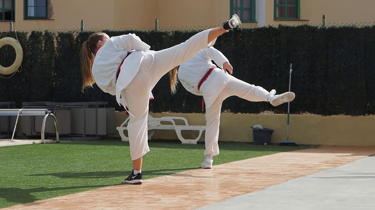 Tang Soo Do (Moo Duk Kwan) España