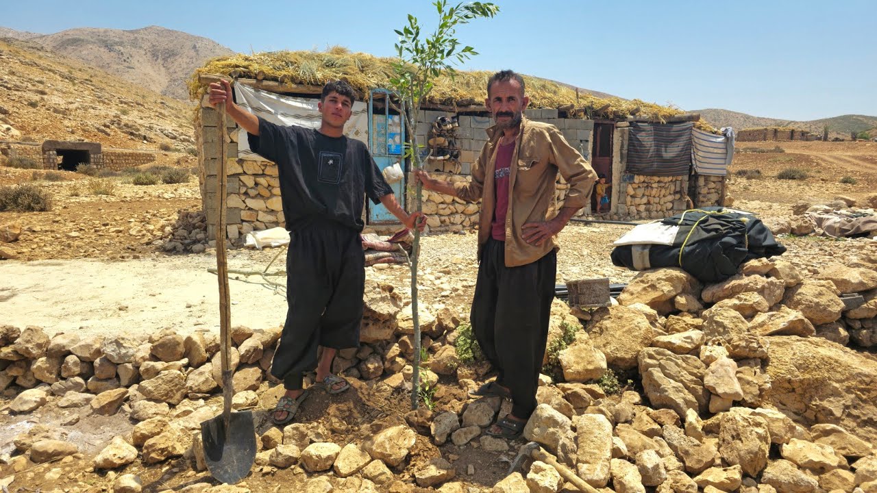 Nomadic life | Black gathering nomadic tent ⛺ | Tree planting in nature 🌳