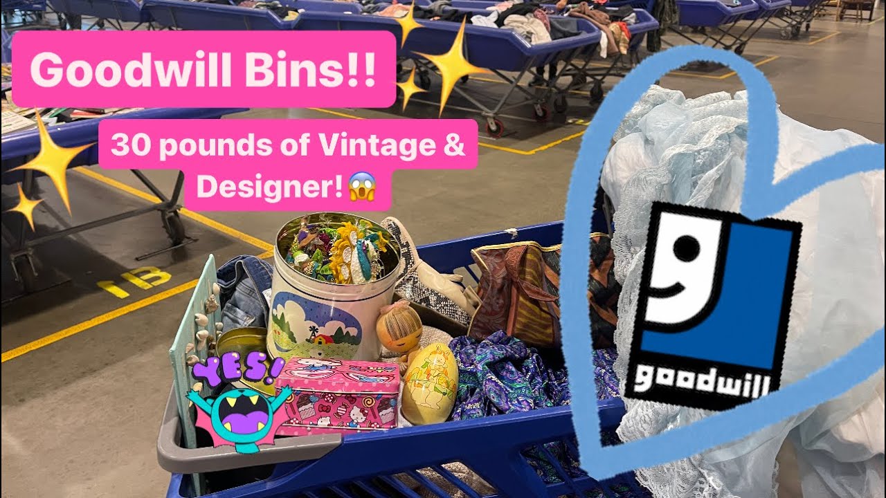 Let’s GO To Goodwill Bins! Let’s Dig Through 50+ Bins!! Thrift With Me For Resale! +HAUL!