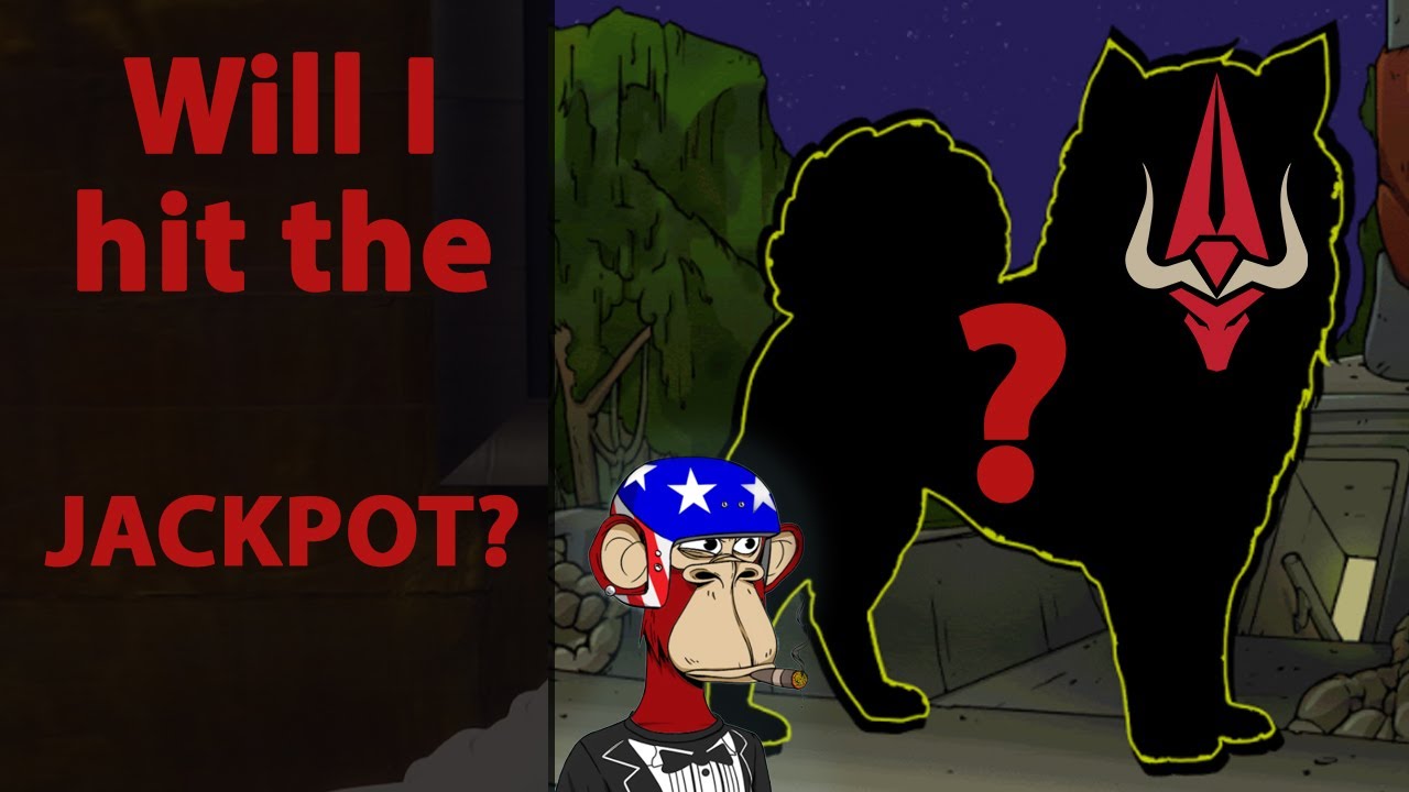 Bored Ape Kennel Club Reveal !?!?! Will I get a Golden God?