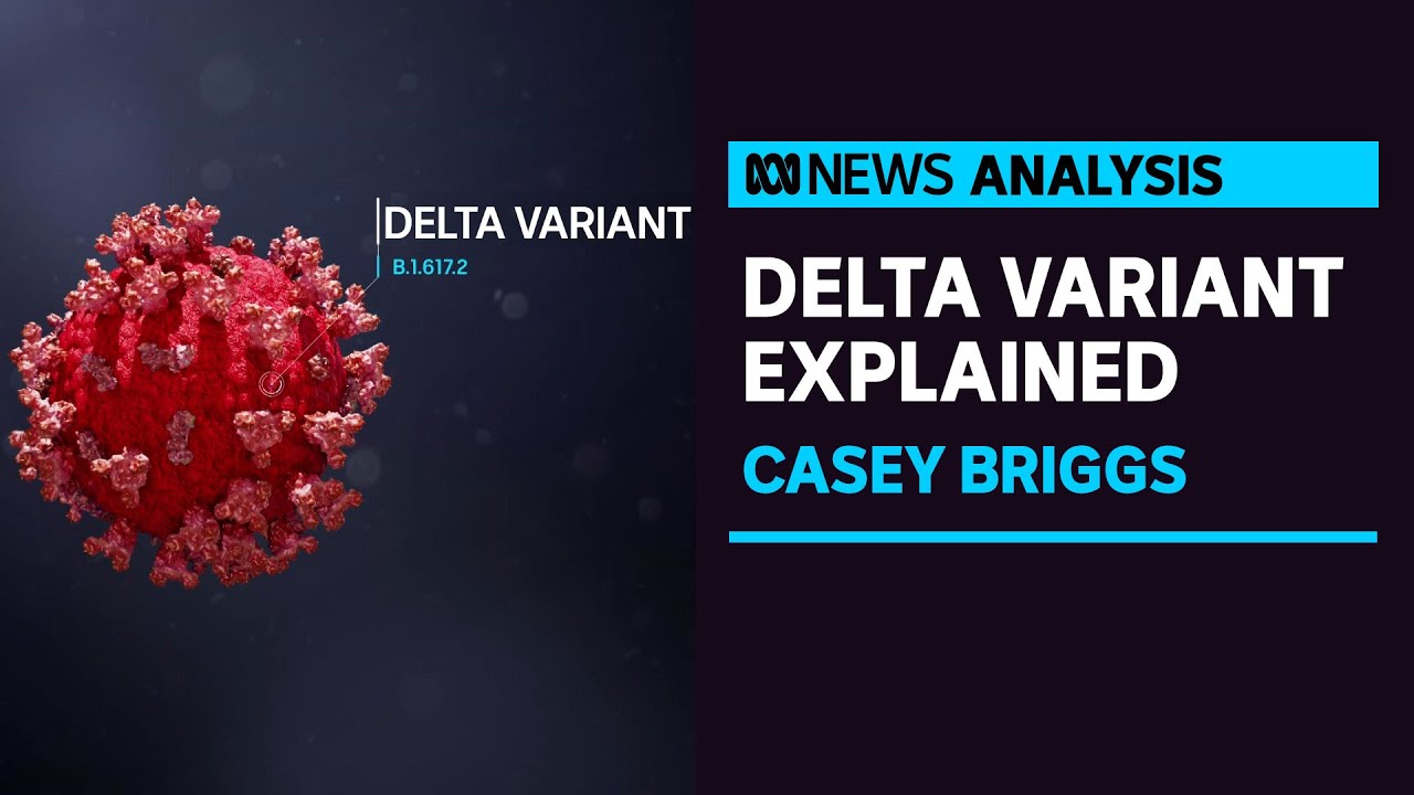 What is the 'Delta variant' and how did it get into the community? | ABC News