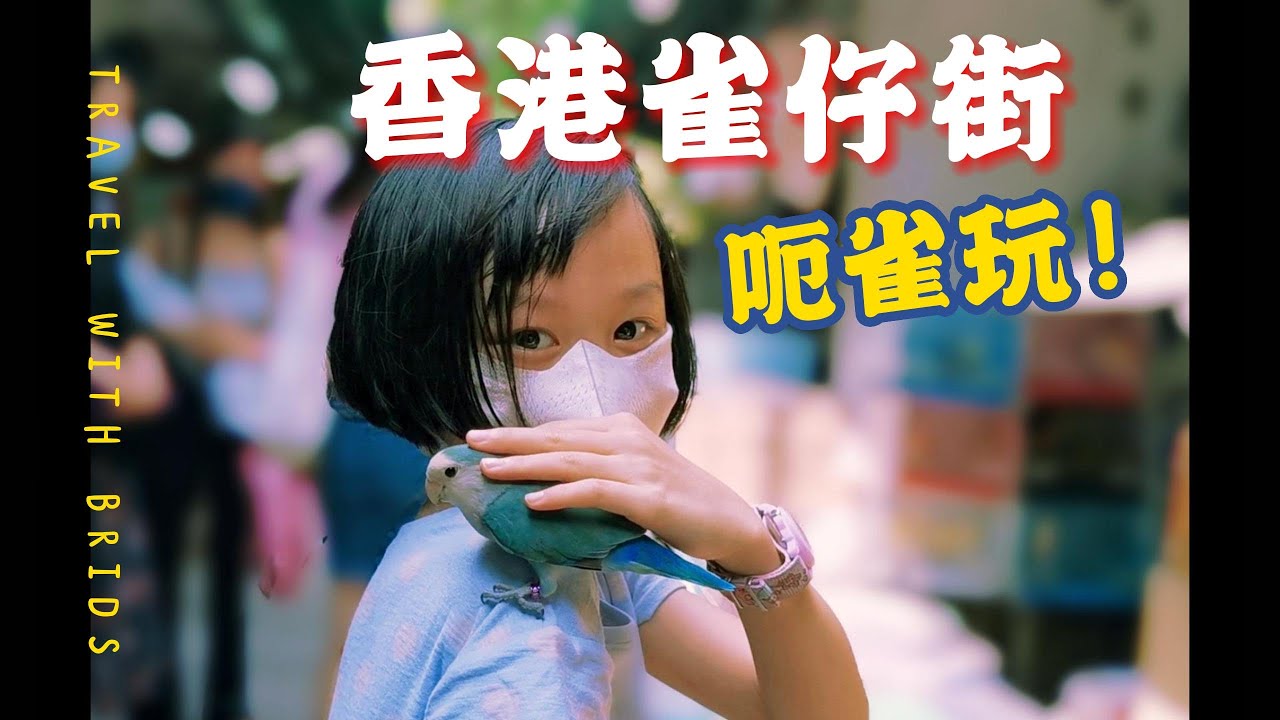 香港雀仔街 / 呃雀仔玩！/ Yanny TV Show