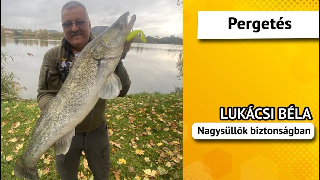 Nagysüllők biztonságban - Lukácsi Béla