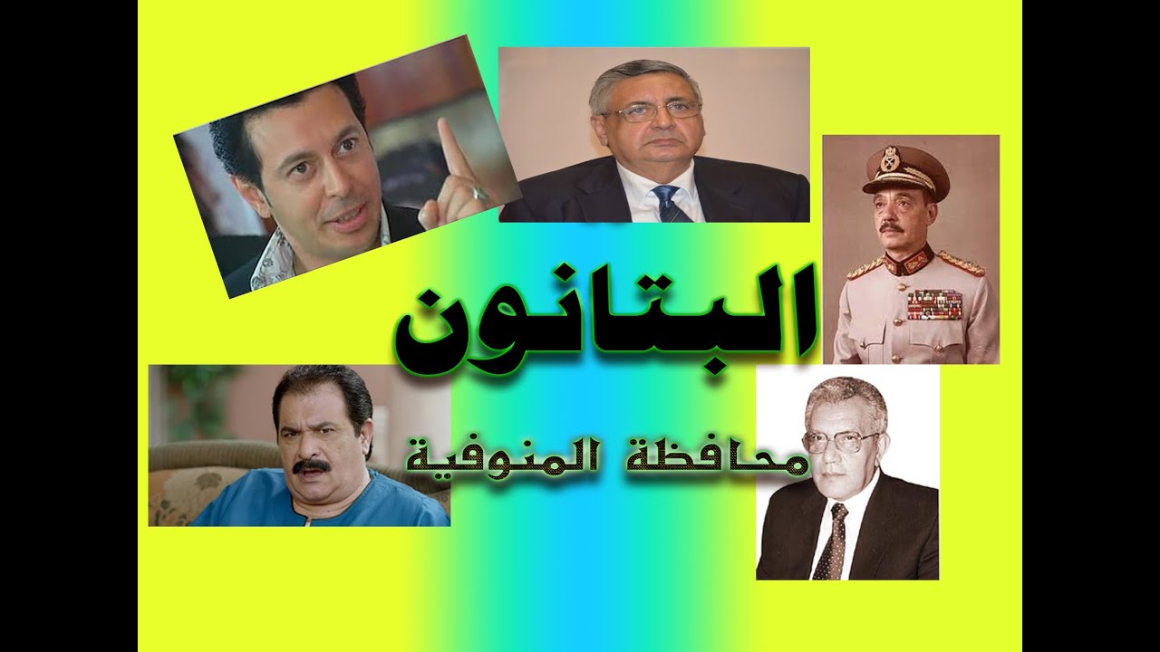 قرية البتانون محافظة المنوفية مركز شبين الكوم - قرى مميزة