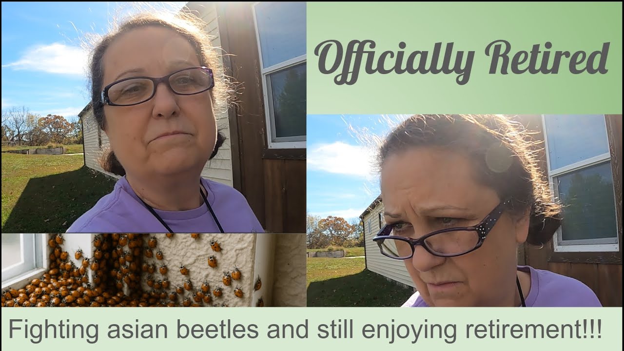 Ремонт и покраска веранд/Покраска фасадов под высоким давлением/Переоборудование мобильных домов