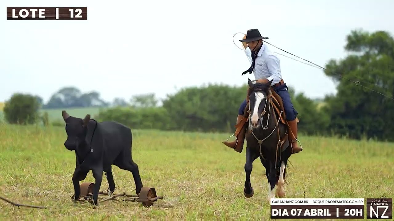 Lote 12 &ndash; NZ AURORA PAMPEANA &ndash; 21&ordm; Leil&atilde;o Virtual CABANHA NZ &ndash; 2026