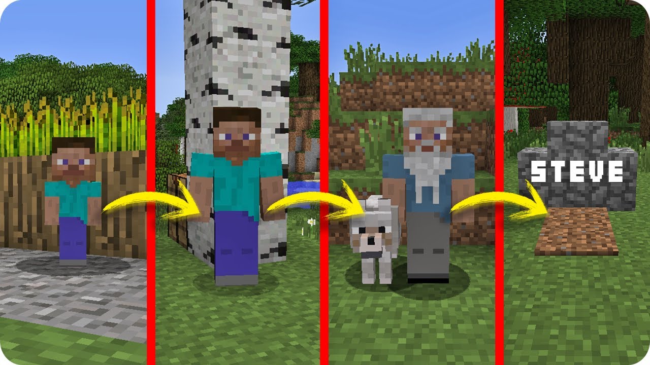 STEVE VS LA VIDA EN MINECRAFT | SI EL CICLO DE VIDA EXISTIESE EN MINECRAFT