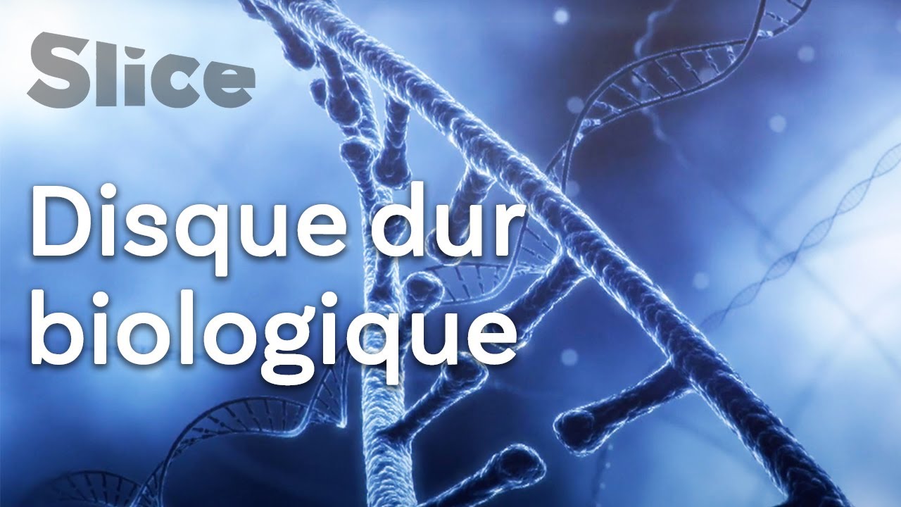 L’ADN, un média de stockage pour le « Big Data » ? | SLICE