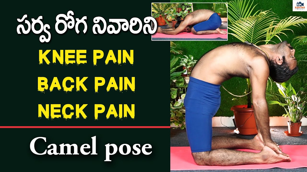 సర్వ రోగ నివారిణి | Camel Pose in Telugu | Ustrasana | Yoga in Quarantine | How To Do Camel Pose