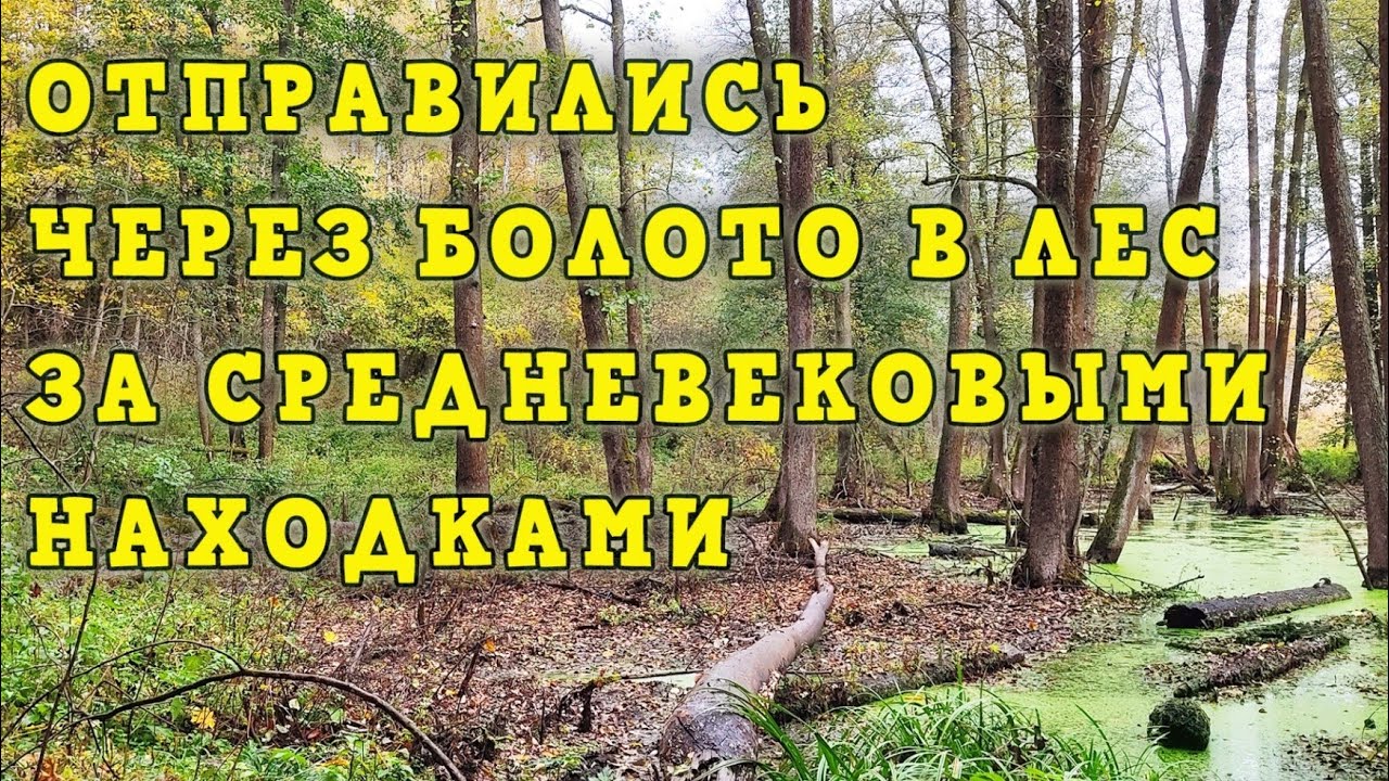 Отправились через болото в лес за средневековыми находками! Лесной коп.
